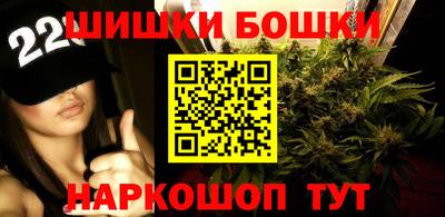 дмт Гай