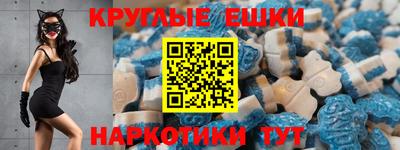 дмт Гай