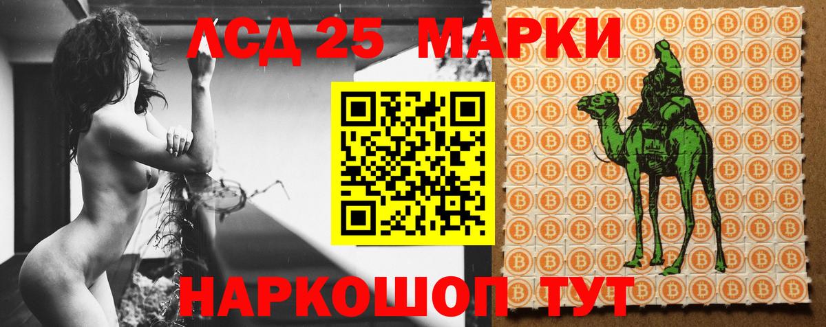кракен как зайти  Вход с VPN  Нурлат  LSD-25 экстази кислота  LSD-25 экстази кислота 
