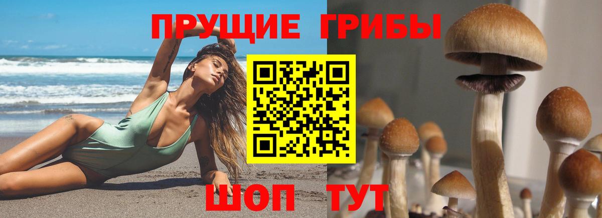 Галлюциногенные грибы мухоморы Нурлат