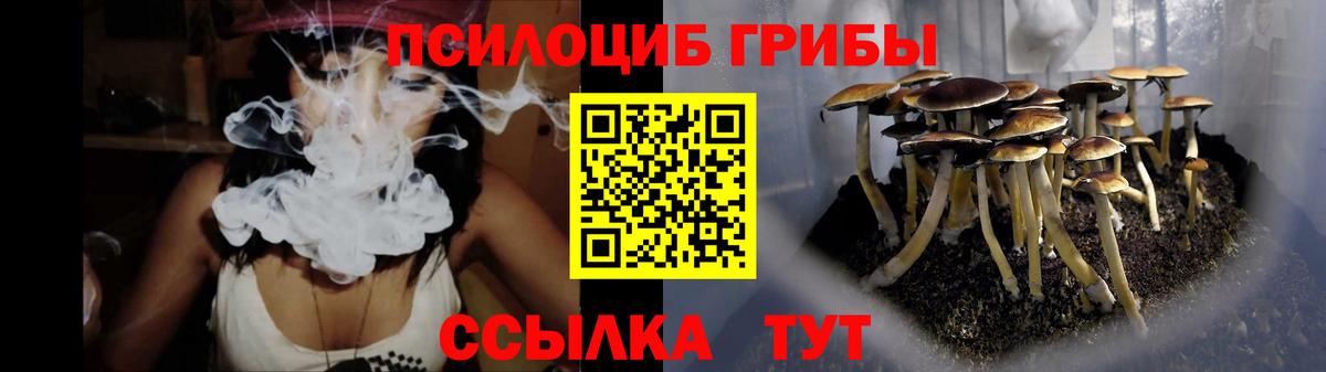 Нурлат  где продают   Вход с VPN  Псилоцибиновые грибы мицелий 